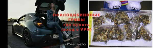 твердый Абинск