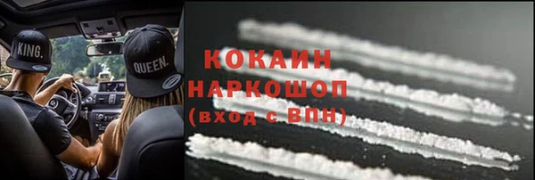 шишки Саяногорск