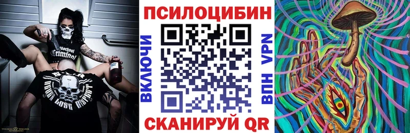 Псилоцибиновые грибы ЛСД  как найти закладки  мега маркетплейс  Заринск 