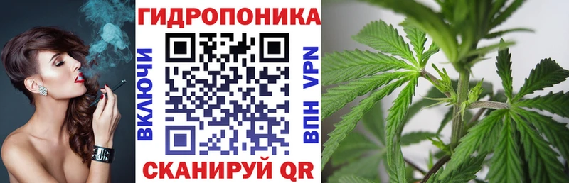 Канабис White Widow  купить  цена  Заринск 